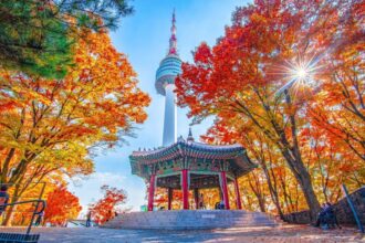 Another Popular Asian Country Launches Digital Nomad Visa