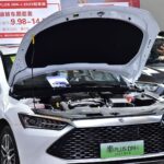 BYD's best-selling China EVs, including one edging out Tesla's Model Y