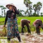 Cambodia Microfinance Association Findings Mark Retreat From Poverty Reduction Claims