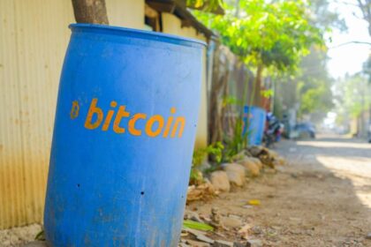 How Digital Nomads Influenced a Bitcoin Movement in El Salvador with Over 10% of Population Adoption