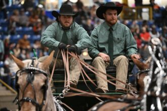 National Western Stock Show has more than 670,000 in attendance in '24