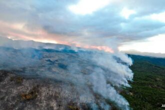 "Out Of Control" Fire Breaks Out In Argentina's UNESCO World Heritage Site Park