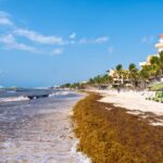 These 3 Destinations Could See Record Breaking Sargassum Invading Beaches Soon
