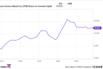 1 No-Brainer Stock Up 280% Since 2020 to Buy With $100 Right Now