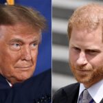Donald Trump Slams Prince Harry, Says He