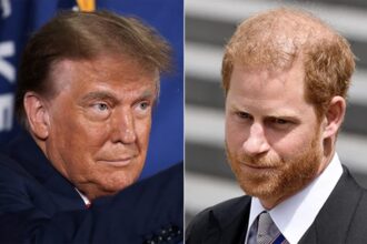 Donald Trump Slams Prince Harry, Says He