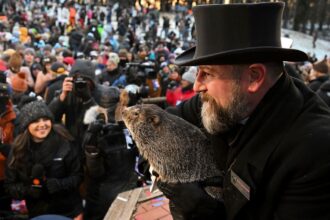 How Groundhog Day And Punxsutawney Phil Became A Thing