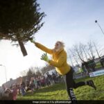 Irish Woman Loses $820,000 Injuries Claim After Being Seen Tossing Christmas Tree