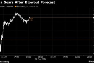 Nvidia Spurs Stock Rally; Japan, Europe at Records: Markets Wrap