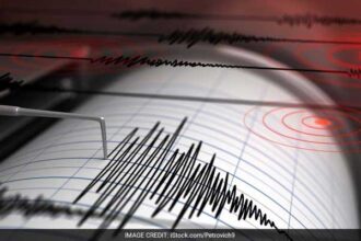 Strong Earthquake Hits Hawaii, No Tsunami Warning