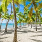 Is Guadeloupe Island Safe To Visit? Travel Advisory 2024
