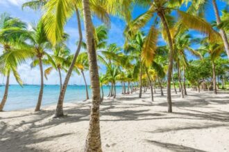 Is Guadeloupe Island Safe To Visit? Travel Advisory 2024