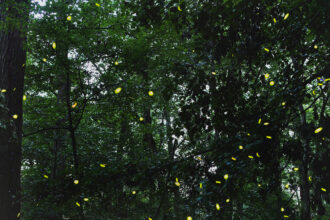 best national parks to visit in may