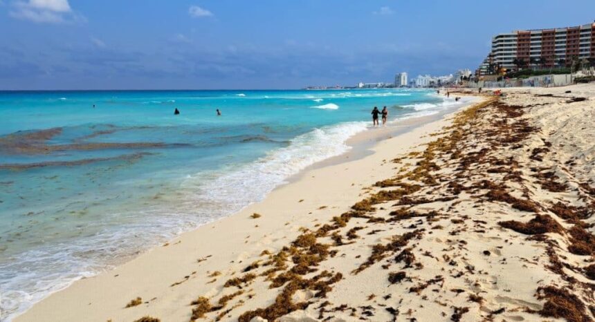 Cancun Resorts Brace For Massive Sargassum Seaweed Influx