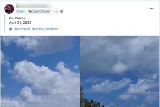 Dominican Republic Sargassum Seaweed In 2024: What To Know