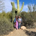 Now Is The Time To Visit Saguaro National Park If You Want To See The Desert In Bloom
