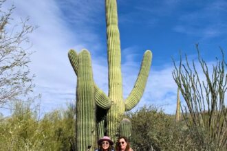 Now Is The Time To Visit Saguaro National Park If You Want To See The Desert In Bloom