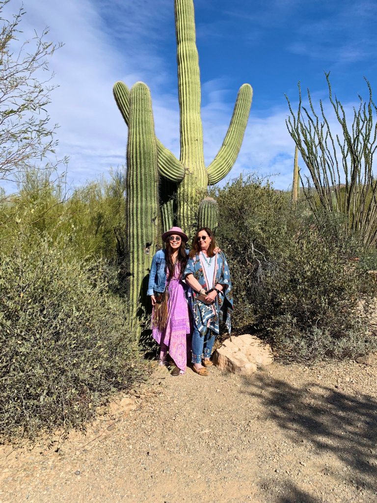 Now Is The Time To Visit Saguaro National Park If You Want To See The Desert In Bloom