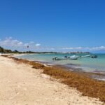 Officials Raised Sargassum Alert For Cancun And The Rest Of The Mexican Caribbean