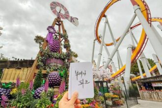 things to do in buena park ca