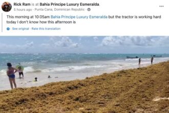 These 6 Caribbean Travel Hotspots To See Record-Breaking Seaweed Invasion In Summer 2024