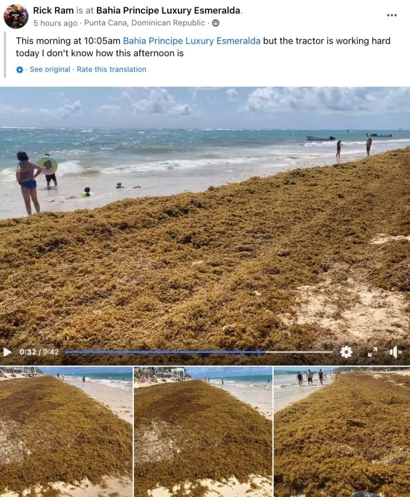 These 6 Caribbean Travel Hotspots To See Record-Breaking Seaweed Invasion In Summer 2024