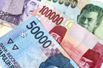 Can Indonesia Actually Raise Its Debt to GDP Ratio to 50 Percent?