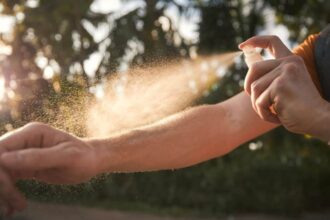 Here's What Mexican Caribbean Travelers Need To Know To Stay Safe From Dengue