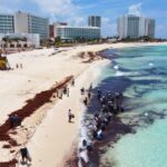 Mexican Hotel Association Refuses To Keep Paying For Sargassum Cleaning