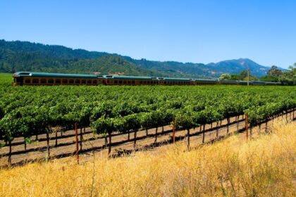Napa Valley Wine Train passing vineyard