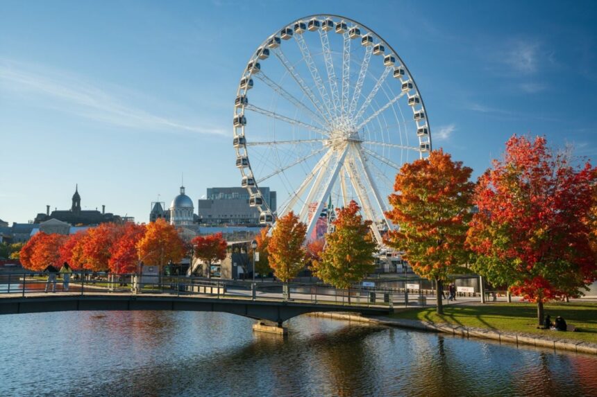 Old Port of Montreal in fall foliage season. Red maples reflection on the St. Lawrence River.