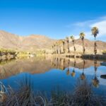 The Story Behind Zzyzx Road In The Mojave Desert