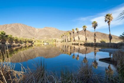 The Story Behind Zzyzx Road In The Mojave Desert