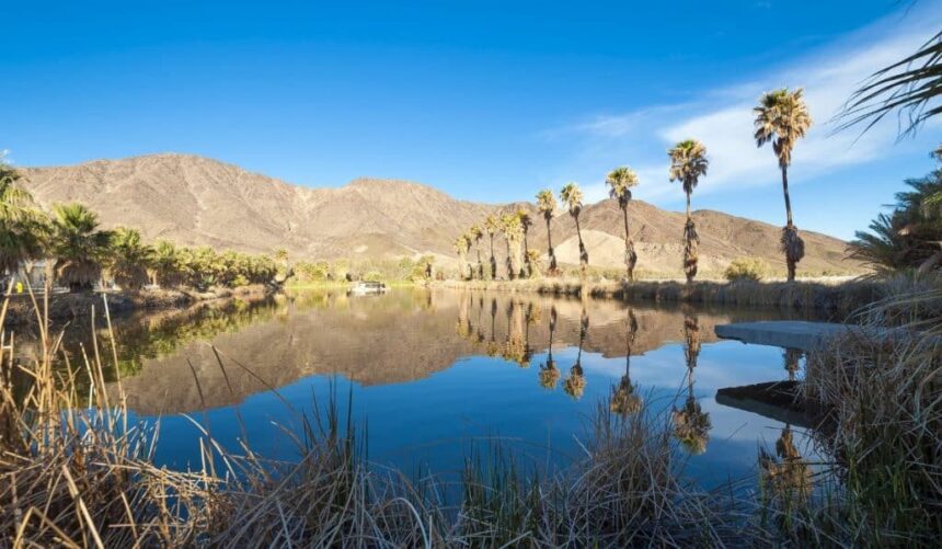 The Story Behind Zzyzx Road In The Mojave Desert