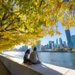 Couple sitting under golden leaves viewing NYC skyline