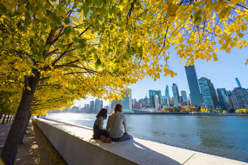 Couple sitting under golden leaves viewing NYC skyline