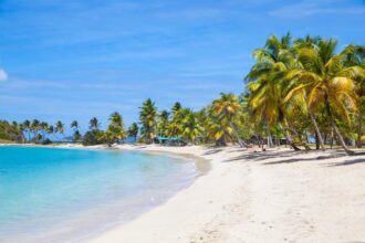 Beautiful beach in St. Vincent and the Grenadines