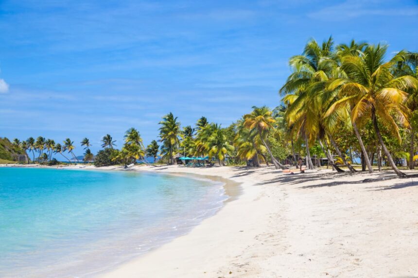 Beautiful beach in St. Vincent and the Grenadines