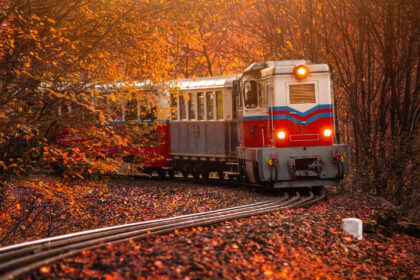 Fall Foliage Train Traveling Between Italy And Switzerland