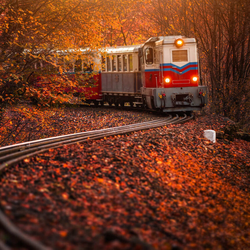 Fall Foliage Train Traveling Between Italy And Switzerland