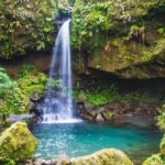 Emerald pool waterfall on Dominica island