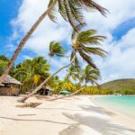 Idyllic tropical beach with white sand, palm trees and turquoise Caribbean sea water on Mayreau island in St Vincent and the Grenadines