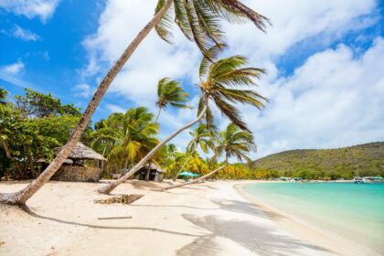 Idyllic tropical beach with white sand, palm trees and turquoise Caribbean sea water on Mayreau island in St Vincent and the Grenadines