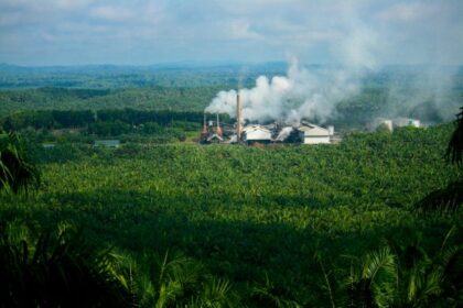 Indonesia, Malaysia Welcome Proposed Delay to EU Deforestation Regulation