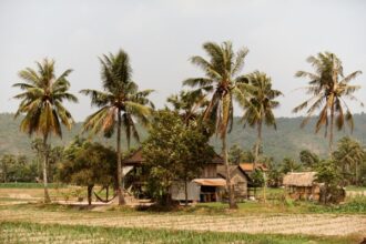 Nobel Prize-Winning Research Highlights Cambodia’s History of Extractive Institutions