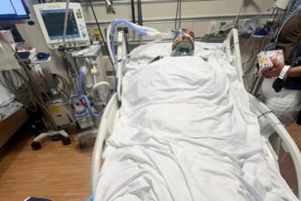 200 Arrested, Farm Worker Gravely Injured In California Immigration Raid