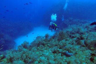 51-year-old Castle Rock man dead after scuba diving in Hawaii