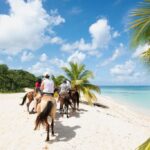 6 Best Caribbean Islands To Visit In June 2024 (Without Seaweed)