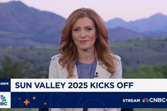 Altman, Iger and Cook arrive at 'summer camp for billionaires'