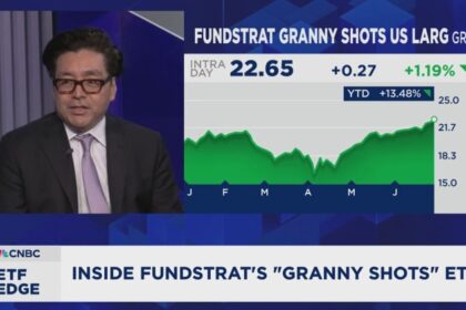 Basketball-inspired Granny Shots ETF may add two new themes: Tom Lee